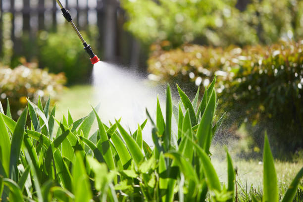 Tamper-Resistant Bait Stations for Rodents in Amboy