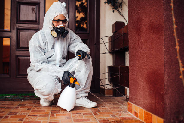 Attic and Crawl Space Rodent Treatment in Amboy